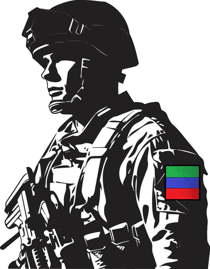 Силуэт бойца